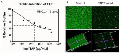 Reciprocal Cooperation of Type A Procyanidin and Nitrofurantoin Against Multi-Drug Resistant (MDR) UPEC: A pH-Dependent Study